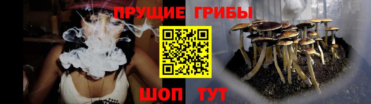 Псилоцибиновые грибы Psilocybine cubensis  Вход с VPN  Новосибирск  купить наркотики сайты  Галлюциногенные грибы прущие грибы 